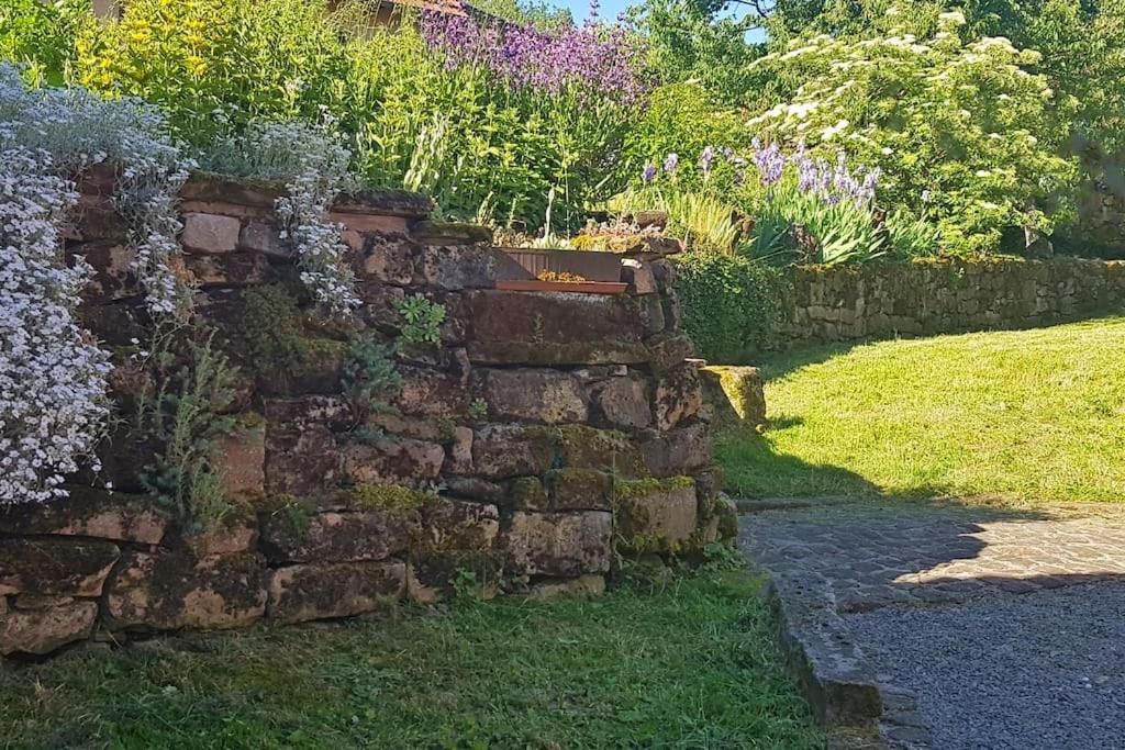 Corps De Ferme Traditionnel Lembach Esterno foto
