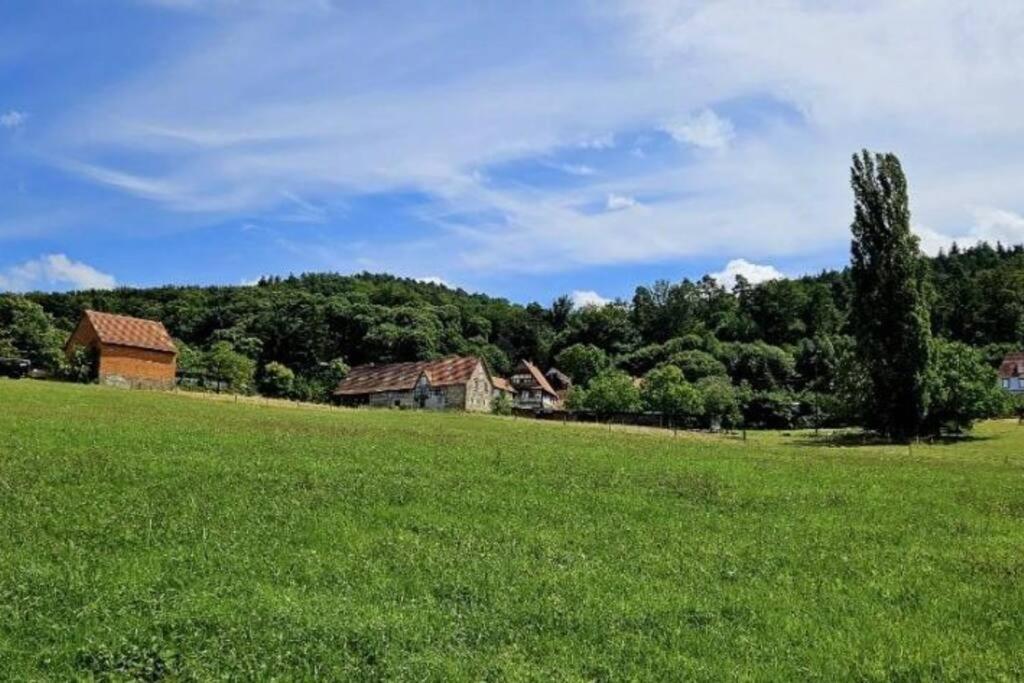Corps De Ferme Traditionnel Lembach Esterno foto