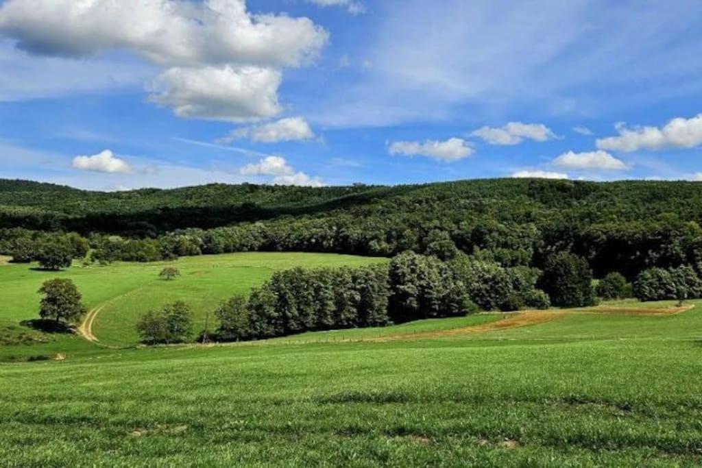 Corps De Ferme Traditionnel Lembach Esterno foto
