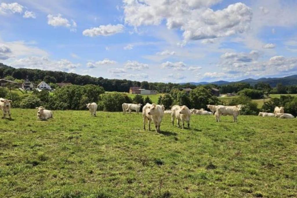 Corps De Ferme Traditionnel Lembach Esterno foto