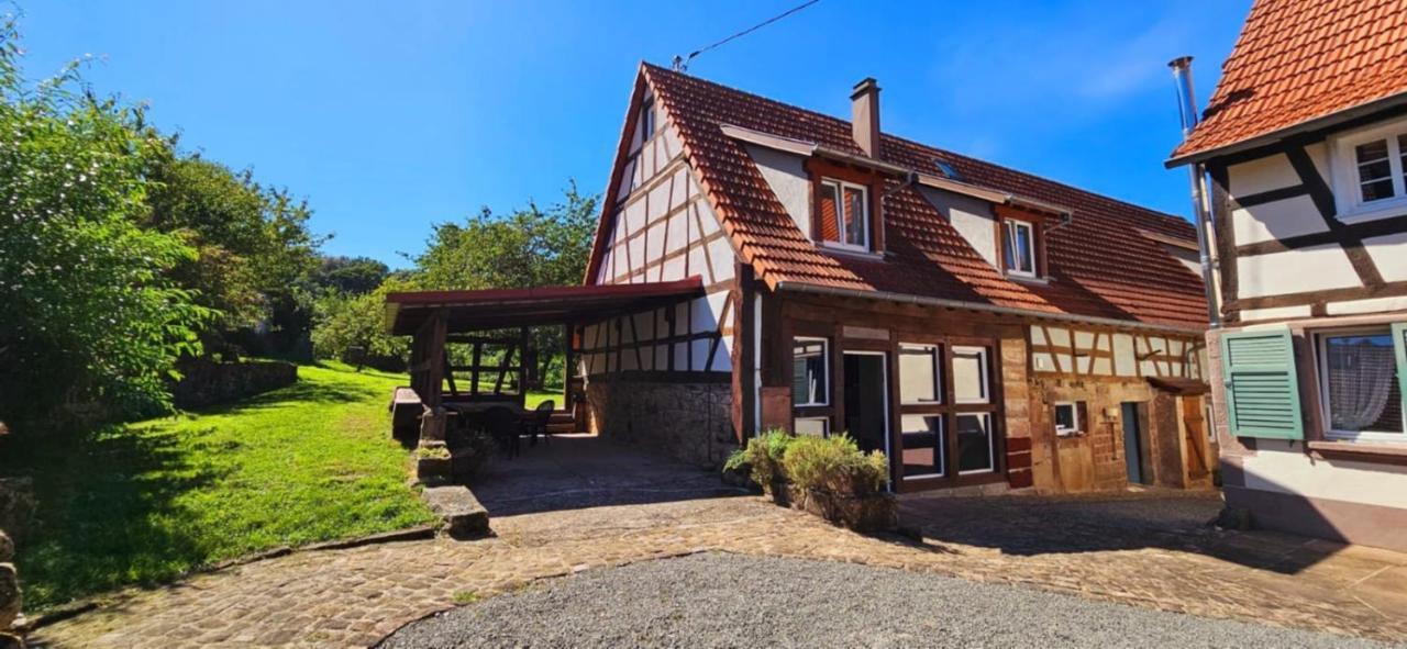 Corps De Ferme Traditionnel Lembach Esterno foto